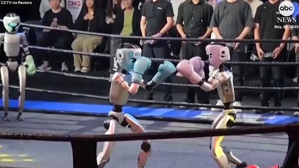 WATCH: Humanoid robots pack a futuristic punch in boxing ring
