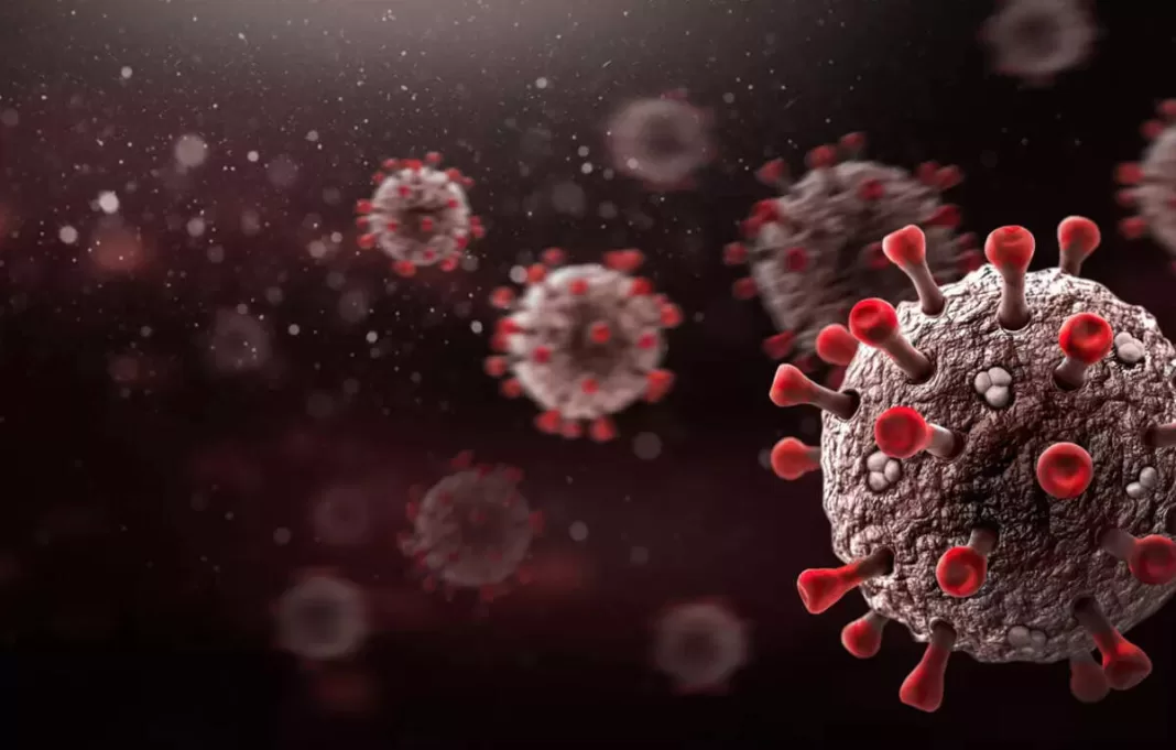 Experts Declare Covid-19 Endemic, Similar to Seasonal Flu, ET HealthWorld