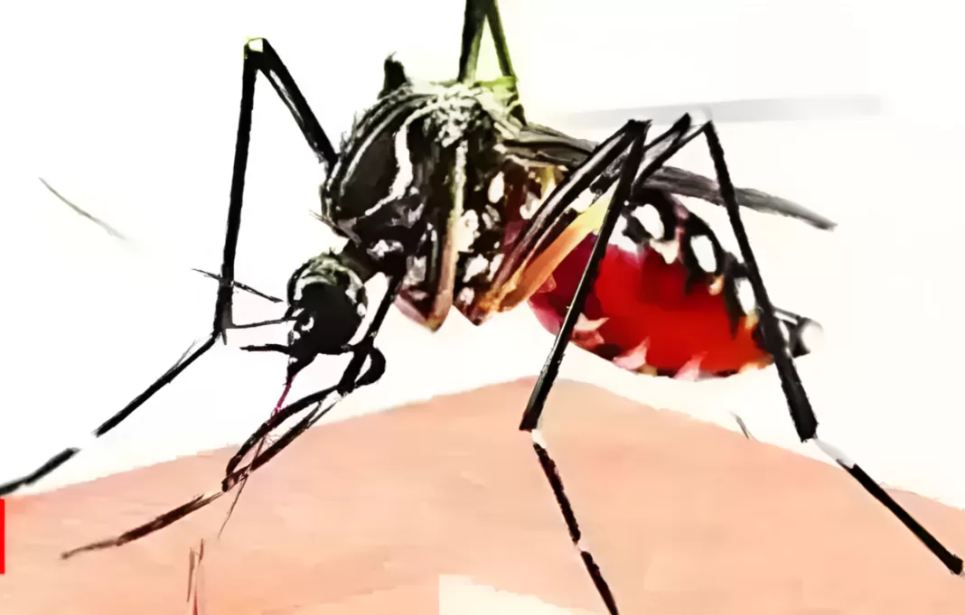 Forget Covid — Another deadly virus has been detected in the UK for the first time and there’s no vaccine, ET HealthWorld