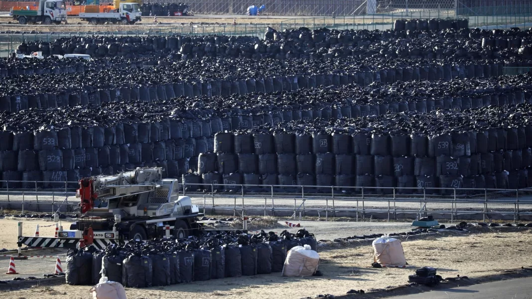Japan to use slightly radioactive soil from Fukushima on flowerbeds at prime minister’s office