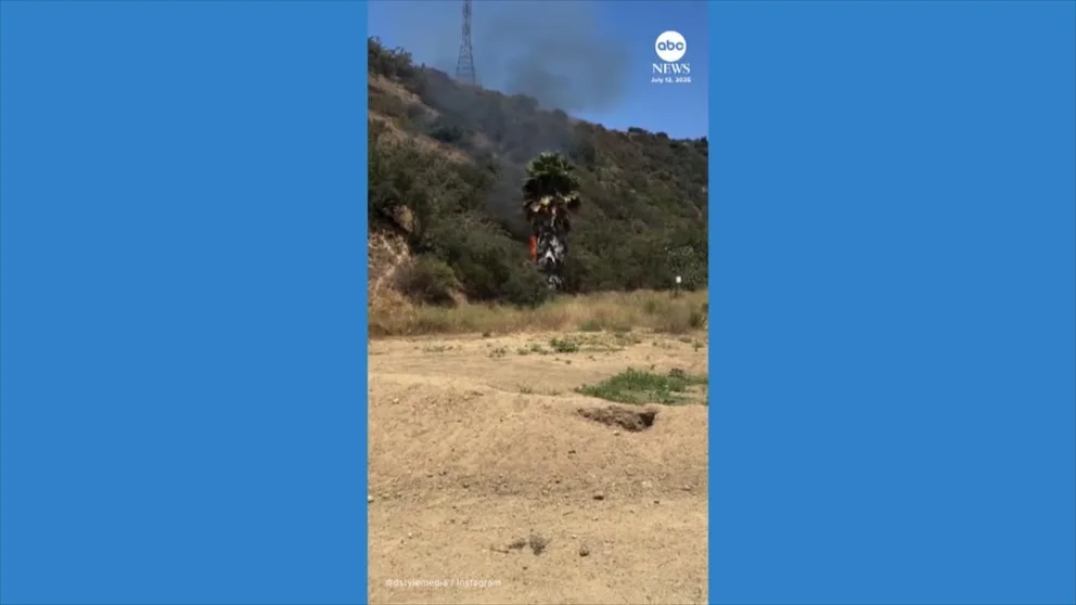 250716_abc_social_runyon_arsonist_hpMain_16x9.jpg