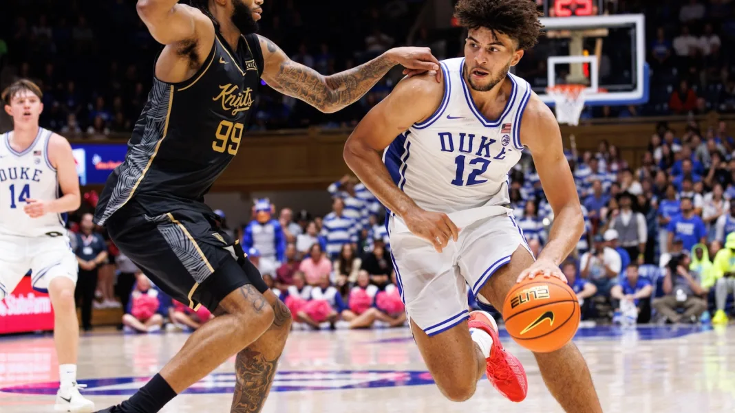 Duke’s Cameron Boozer headlines a slate of talented freshmen to watch this season