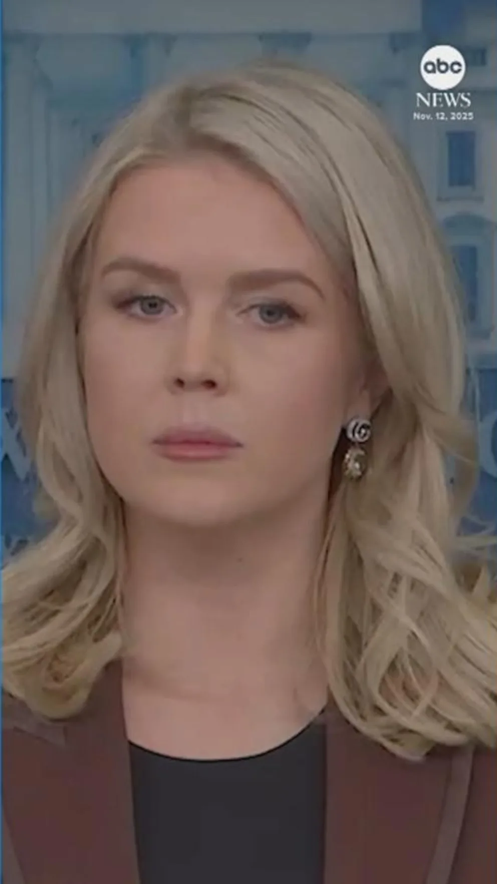 Video WH press sec. Leavitt: Epstein emails prove Trump ‘did nothing wrong’