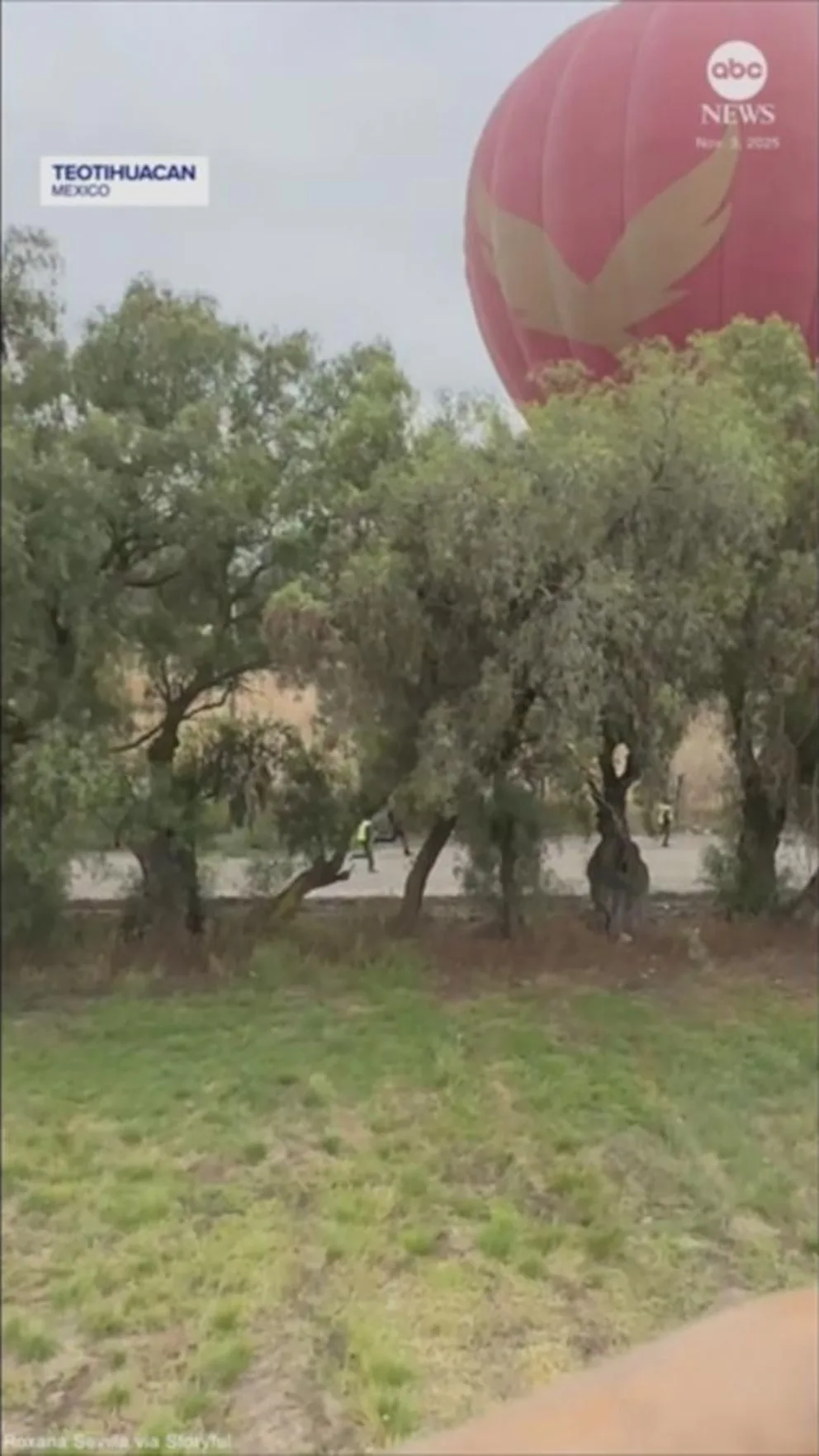 WATCH: Hot-air balloon riders crash into trees in Mexico