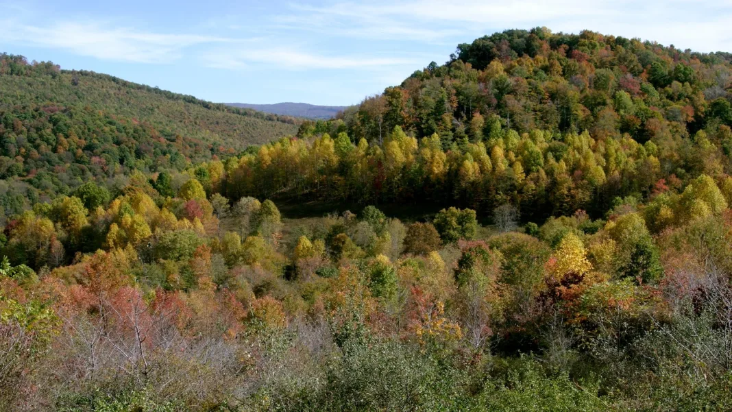 Missing West Virginia coal miner found dead, governor says