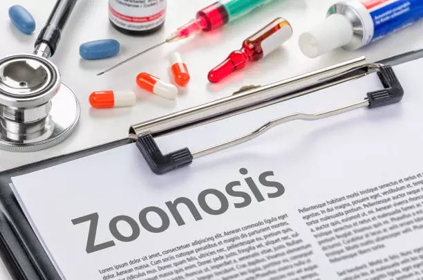 India Launches Rs 383 Crore National One Health Mission to Combat Zoonotic Diseases, ETHealthworld