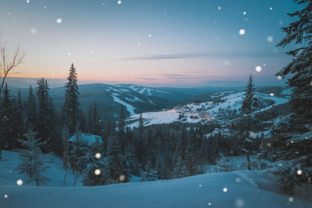 From Ice Sculptures to Snowy Forests: Discover China’s Harbin Photography Train for an Unforgettable Winter Travel Experience
