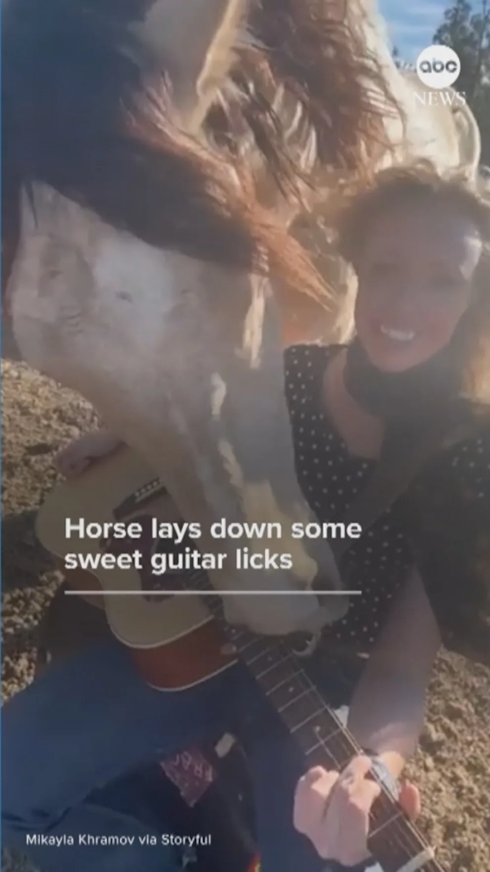WATCH: Horse lays down some sweet guitar licks
