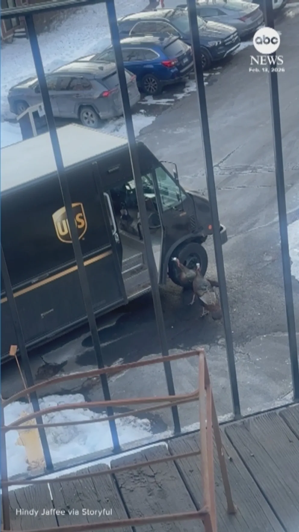 WATCH: UPS driver terrorized by wild turkeys in Connecticut