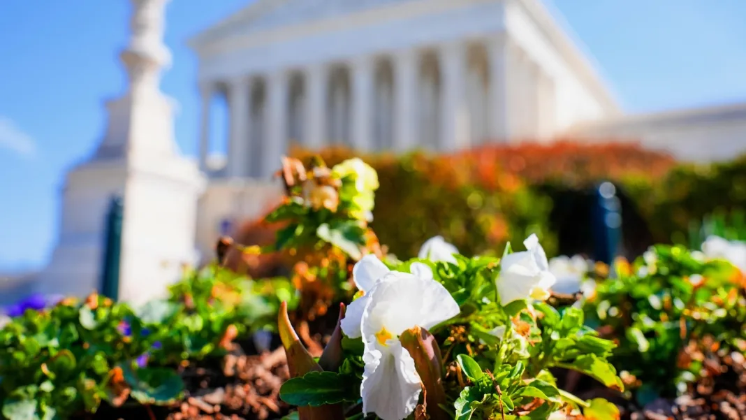 Supreme Court considers letting Trump administration revive restrictive immigration asylum policy