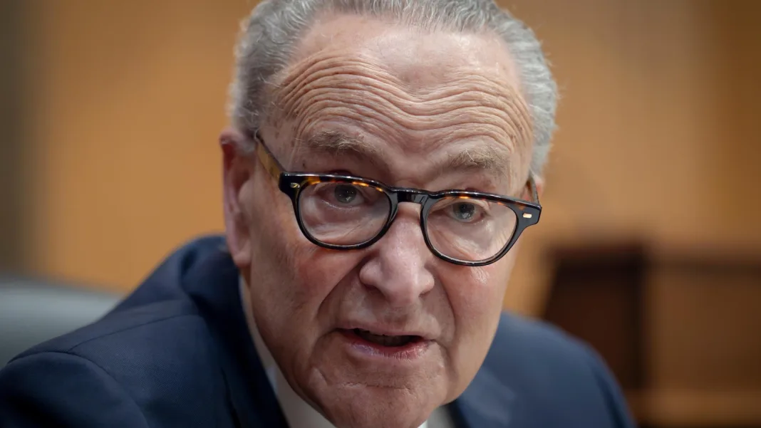 Schumer had a plan to win back the Senate. But some Democrats aren’t on board
