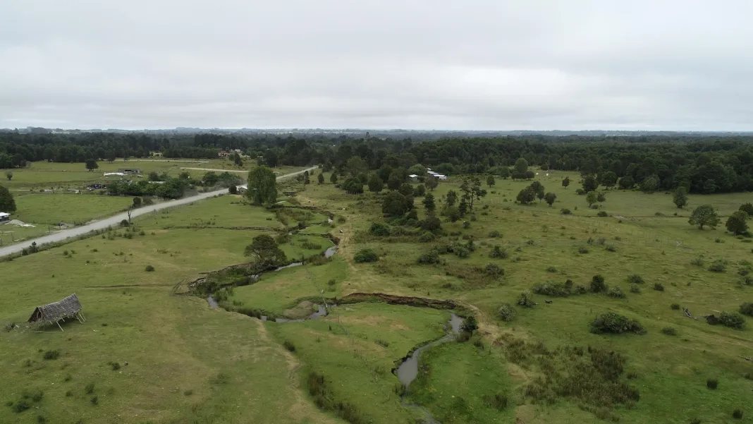 New study challenges a site that’s key to how humans got to the Americas