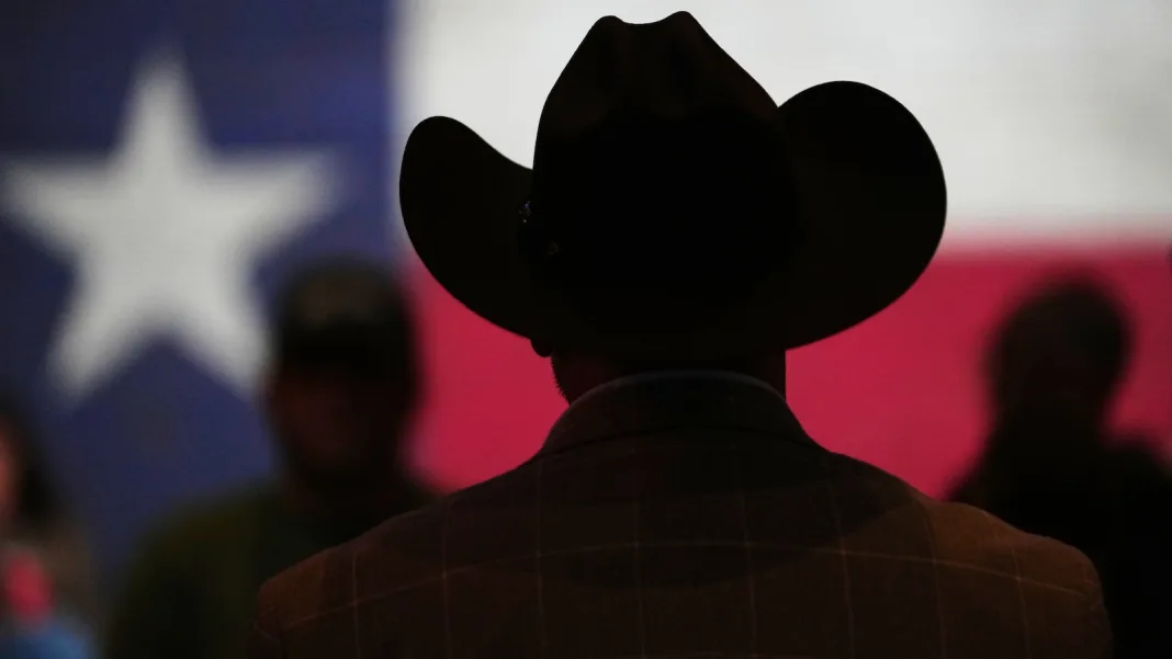 Democrats try to defeat candidate expressing antisemitic views in Texas runoff on Tuesday