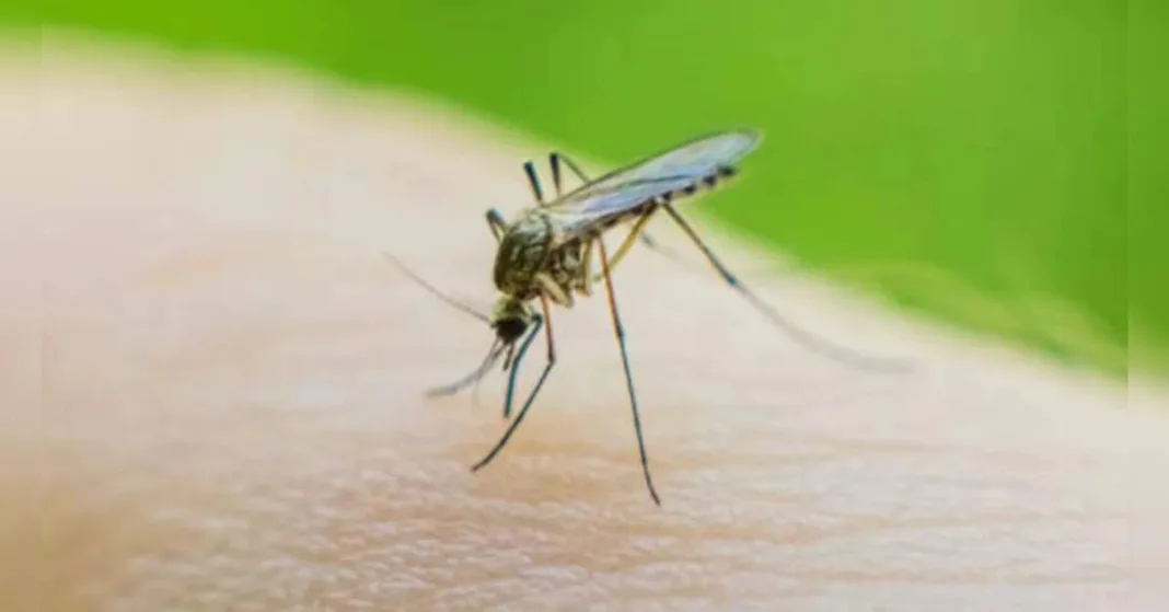 Indian scientists may have found a way to stop malaria, ETHealthworld