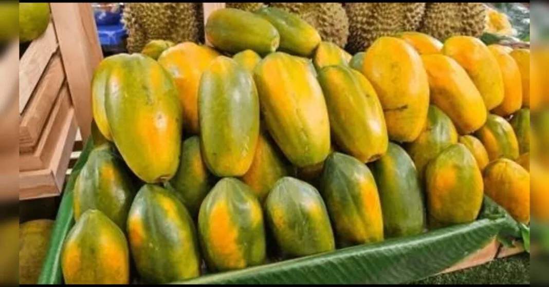 Tata Memorial Hospital’s Papaya Leaf Extract Study Faces Scrutiny Over Platelet Boost Claims, ETHealthworld