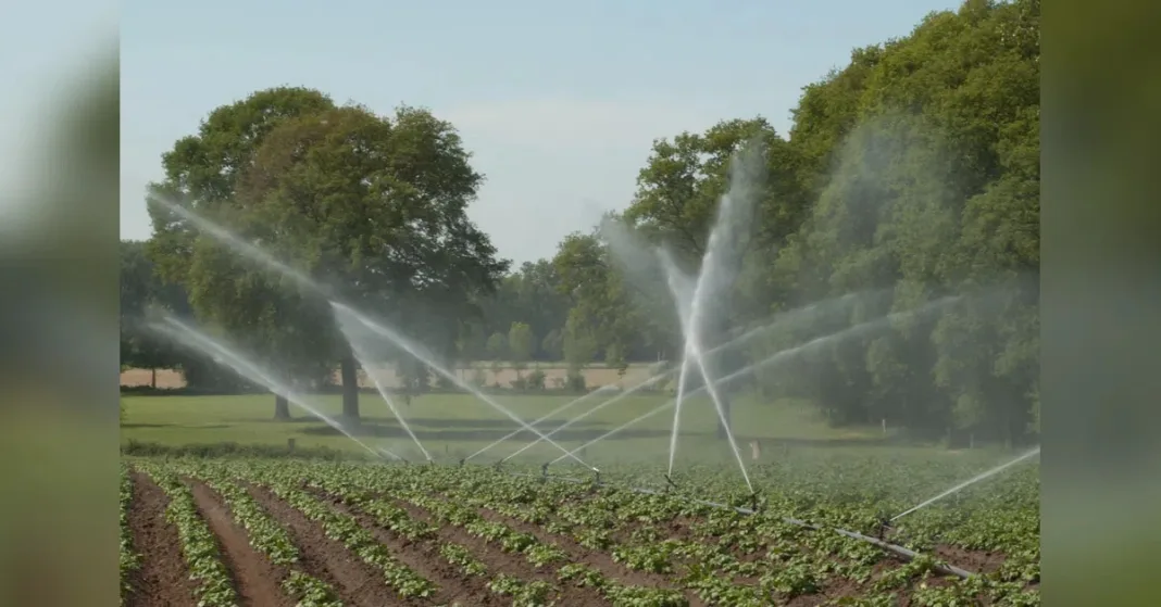 Odisha Cabinet approves ₹12,458 cr to expand irrigation coverage by FY31 | Industry News