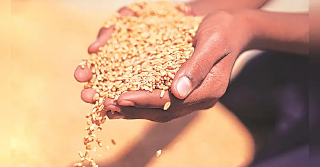 Govt lifts ban on wheat exports in boost to war hit global supply | Economy & Policy News