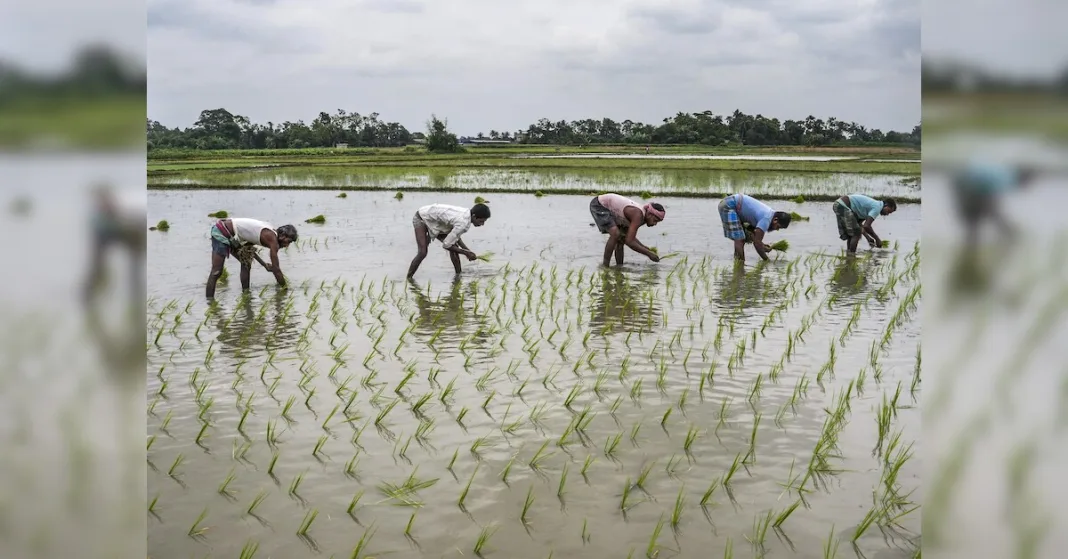 About 40% of India’s sown area yet to be linked to Farmer IDs: Agri Min | Agriculture