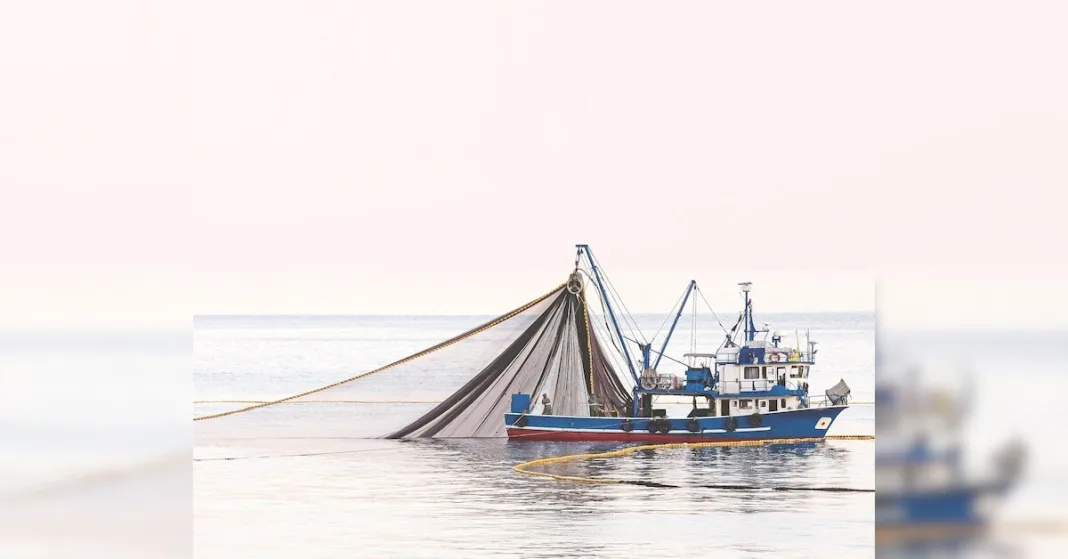 Green signal for blue water fishing: The permit could be a game changer | Economy & Policy News