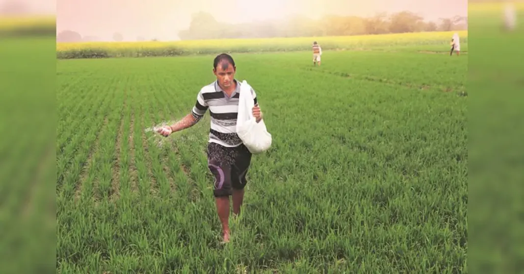 Fertiliser ministry deploys analytical tool to prevent fertiliser shortage | Industry News