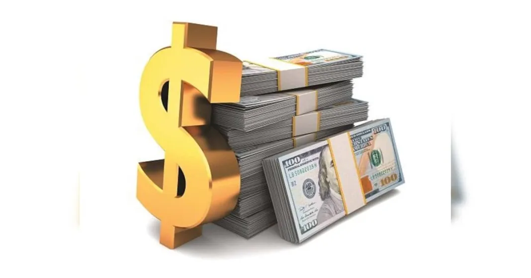 Forex reserves fall $14.9 billion, sharpest weekly drop since Nov 2024 | Economy & Policy News