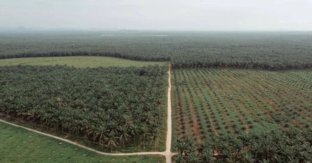War, extreme weather put Asia’s food security at risk: Verisk Maplecroft | Economy & Policy News