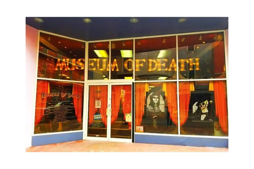 New Orleans to Orlando: Five Mind-Blowing US Museums Offering Travellers an Unforgettable Q4 2026 Trip
