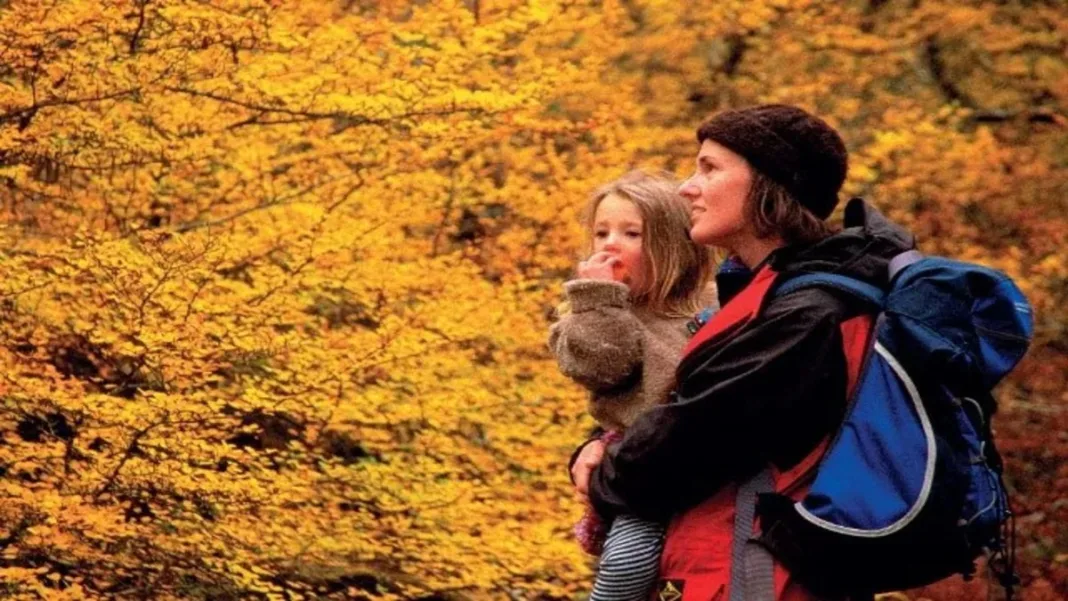 Discover Canberra Autumn Magic As Australia’s Capital Blooms With Golden Seasonal Beauty