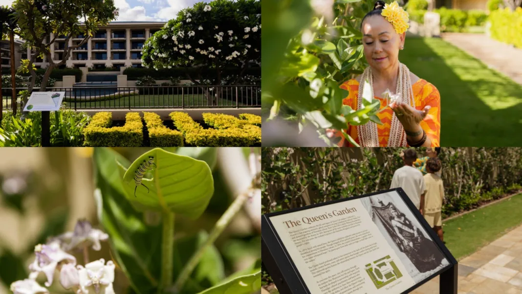 Hawaii Vacationers in the USA Will Love this Emotional Royal Tribute Opening at Four Seasons Maui
