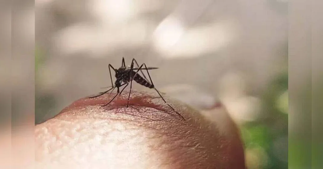 ICMR-NIV study detects insecticide resistance in dengue vector mosquitoes in parts of Pune, ETHealthworld