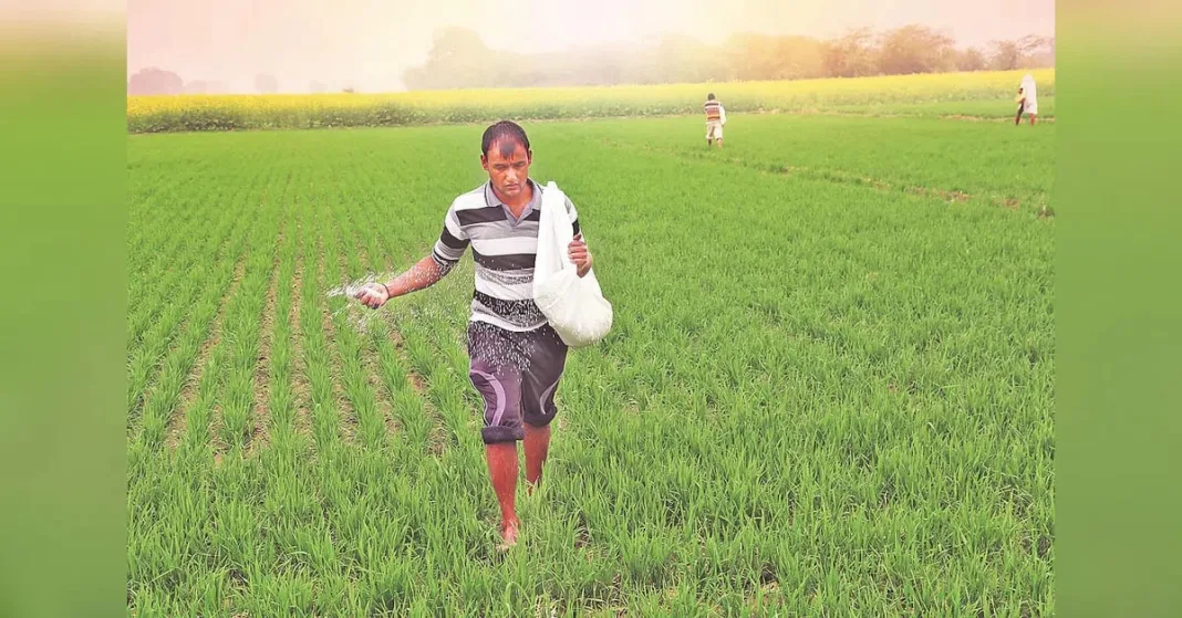 Urea offers in India tender fall nearly 10%, offering relief to farmers | Agriculture